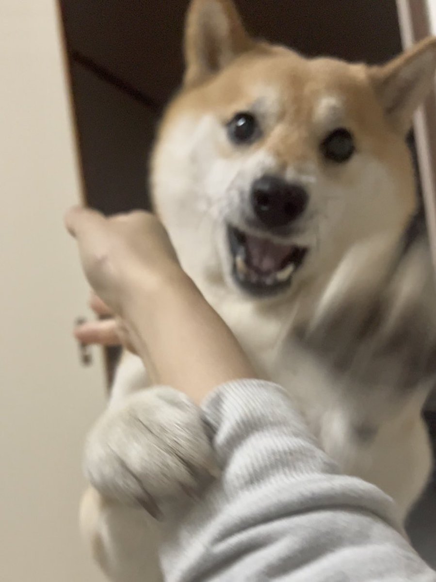 おっちー(myau) (@ochi999) / Posts / X