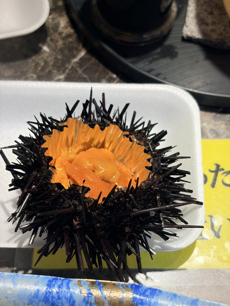 takabu_pandas's tweet image. はぁはぁ……