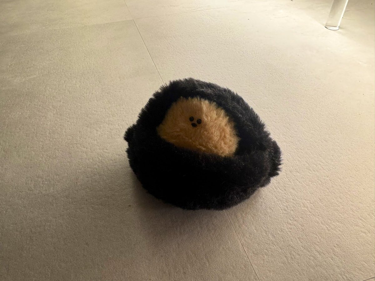 fuyakash's tweet image. ウニ: ¥600-