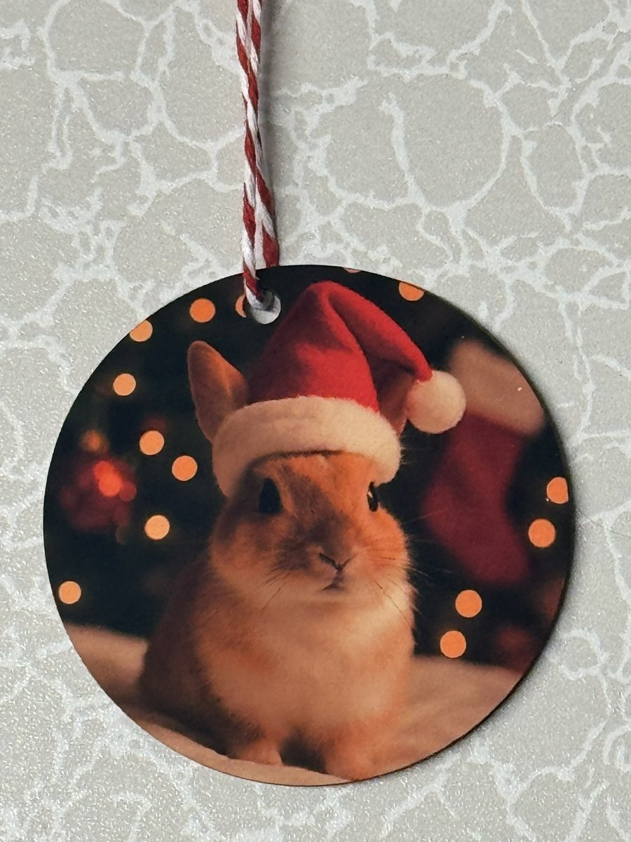 Harry didn’t sell out yesterday, there’s still 7 available of this <a href="/carrotcottagerr/">Carrot Cottage Rabbit Rescue</a> decoration jjrabbithouse.com/products/ccrr-…