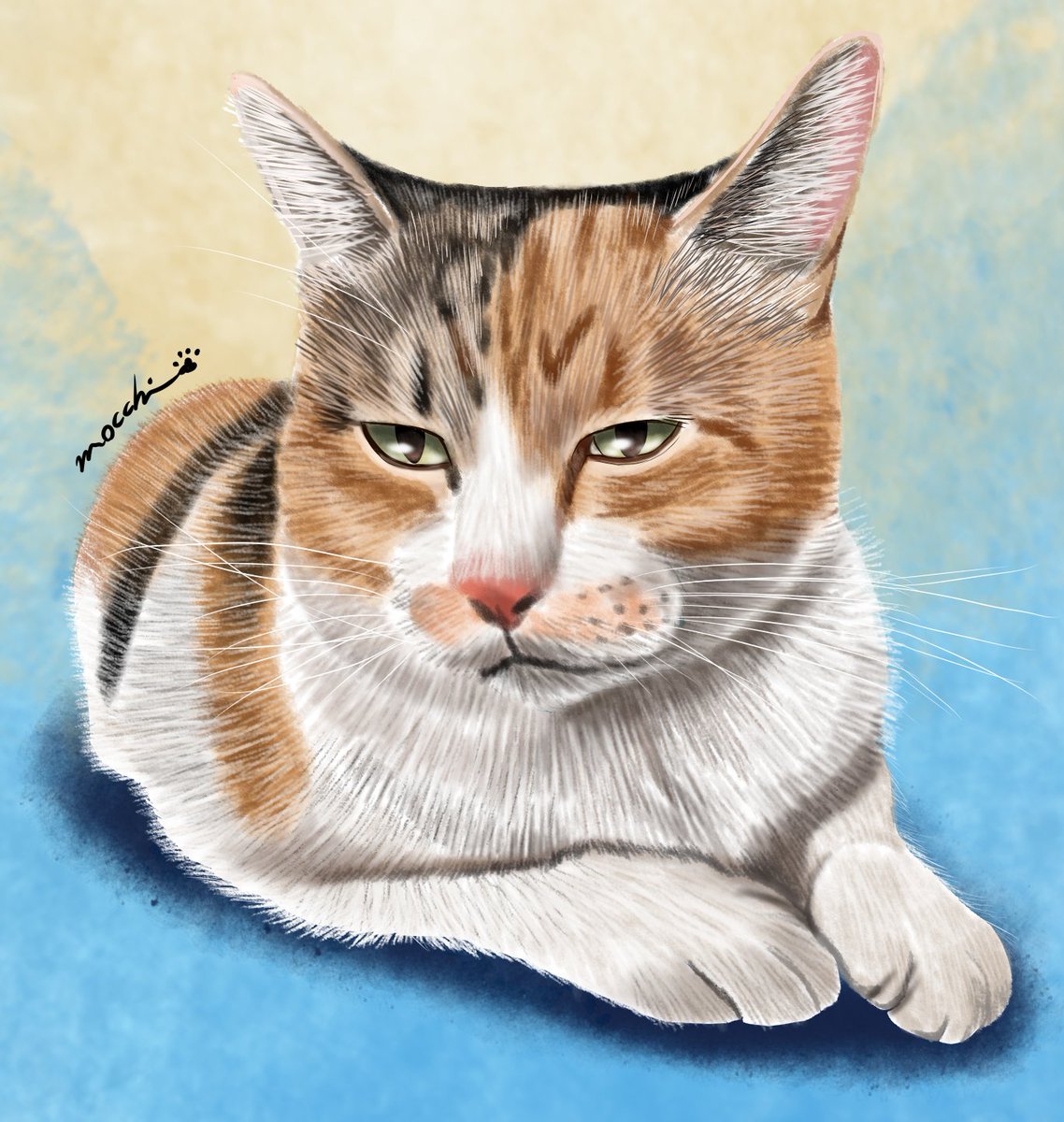 まったりミーやん(再掲)