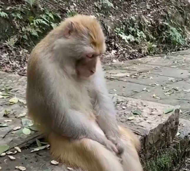 Hii kujiongelesha ni mpaka lini?😔💔