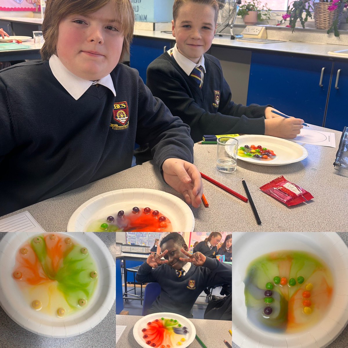 Dwr-Y-Felin Science tweet media