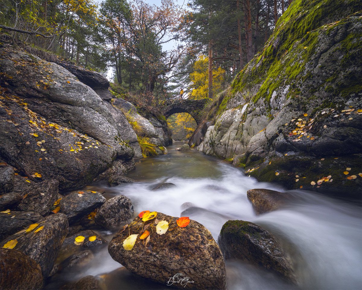 David García tweet media