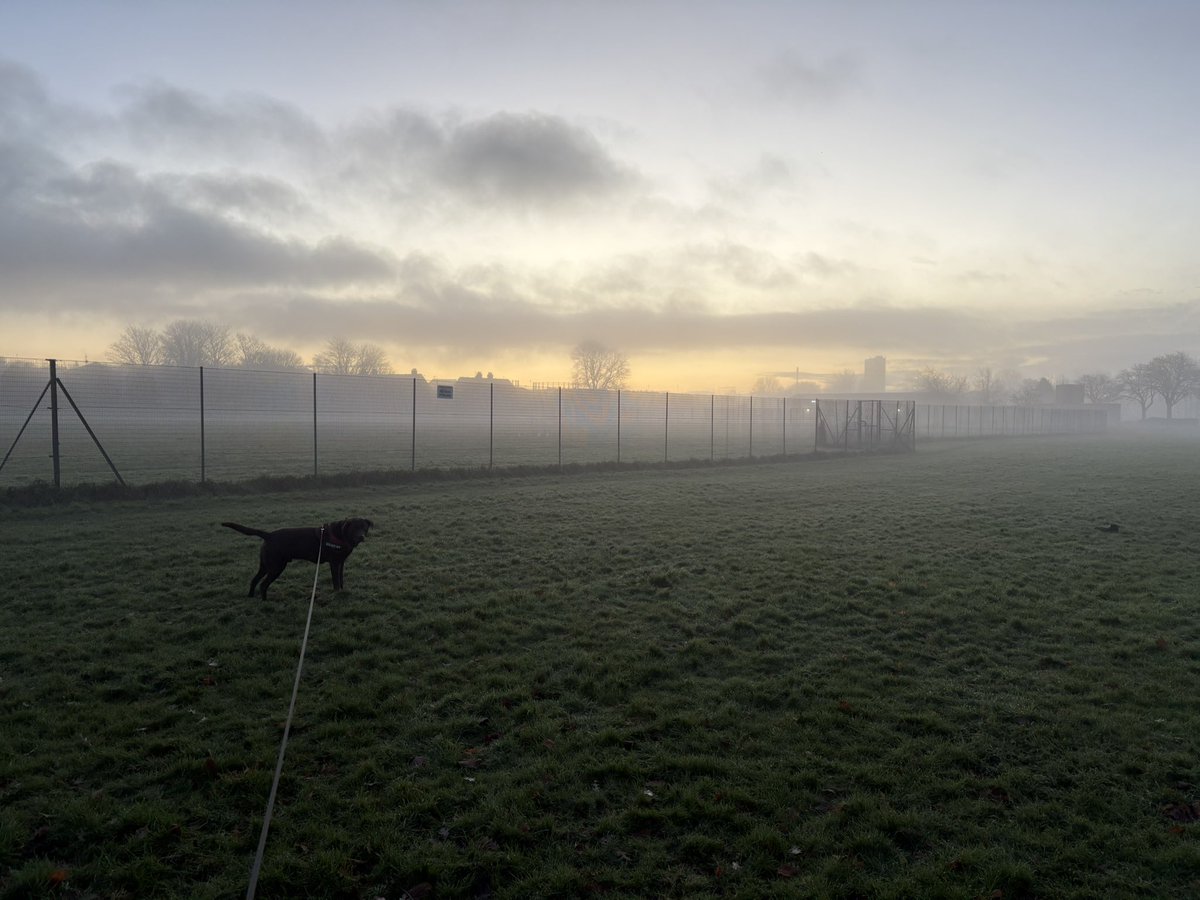 DavadSteel's tweet image. Morning.