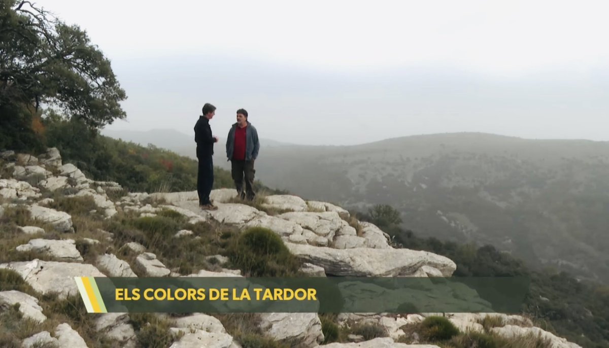 codeposa's tweet image. Un càmera de Comunicacions dels Ports ha descobert els colors de la tardor a Ares del Maestrat rodant aquest reportatge per a La Via Verda d’À Punt
🎥
▸ apuntmedia.es/programes/la-v…