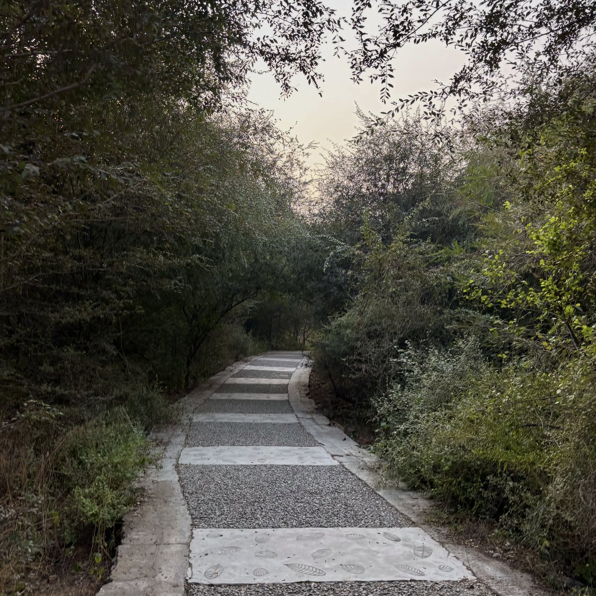 zeeaurav's tweet image. somewhere, nowhere