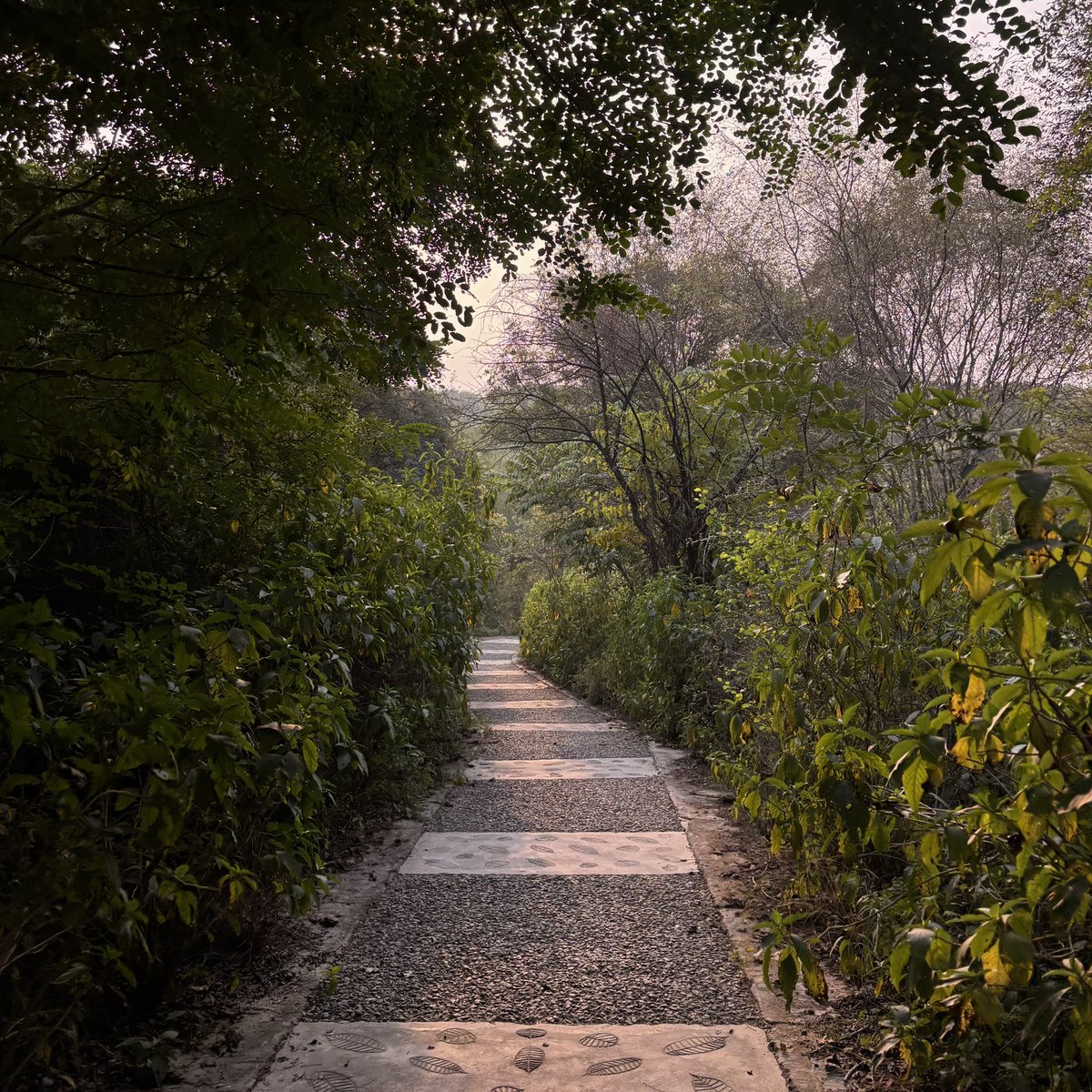 zeeaurav's tweet image. somewhere, nowhere