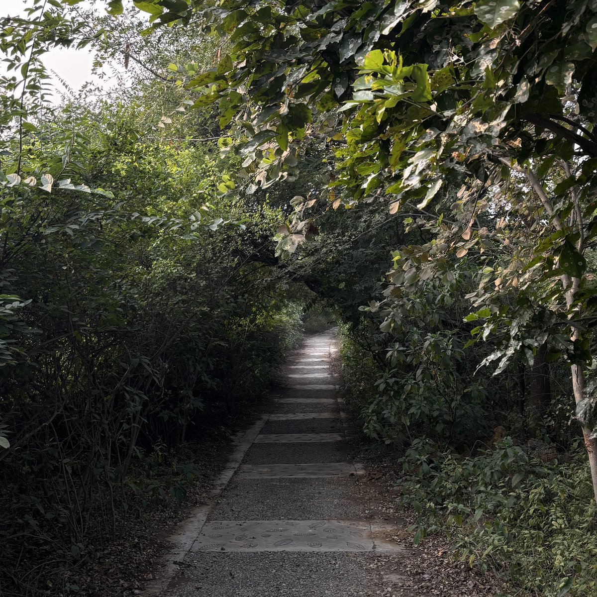 zeeaurav's tweet image. somewhere, nowhere