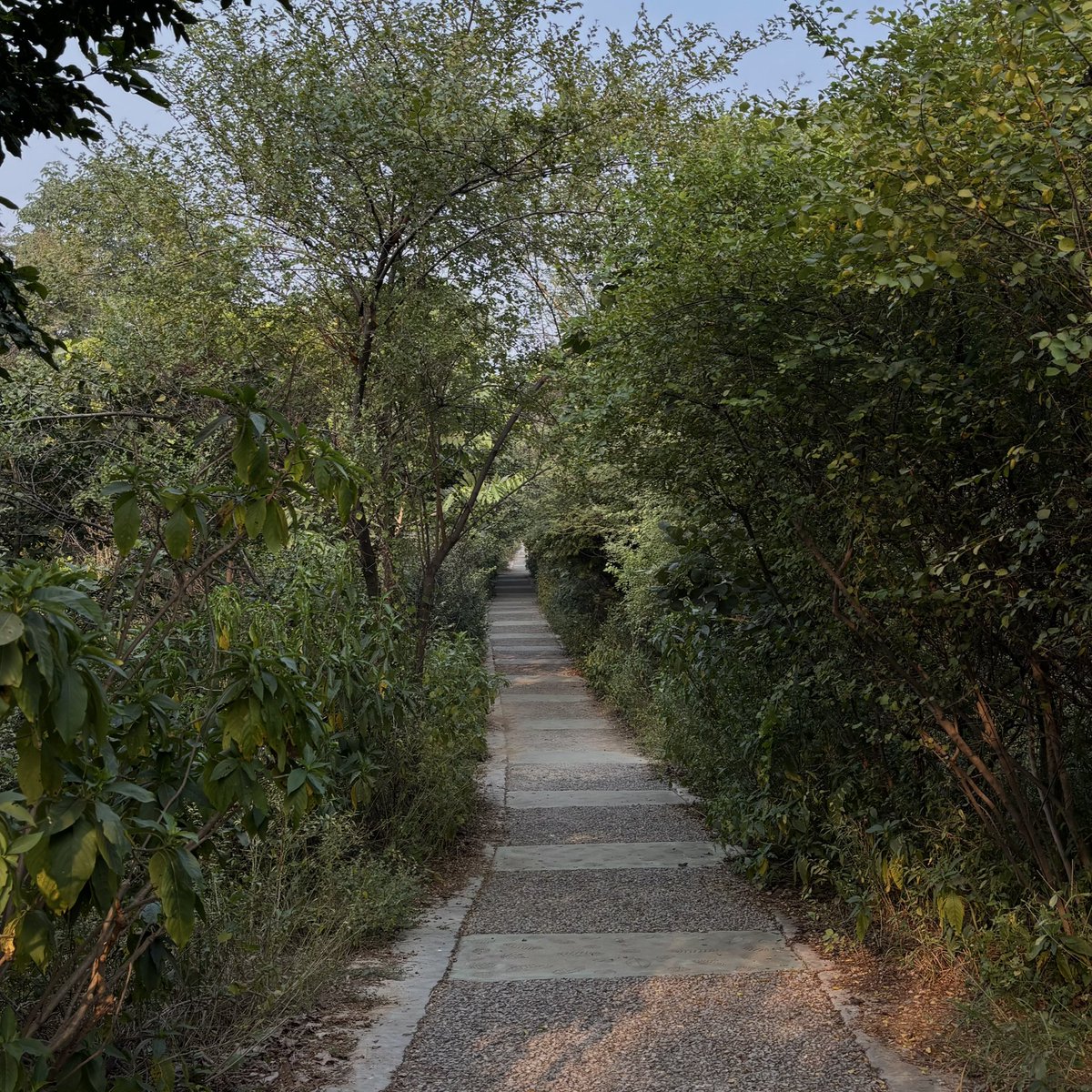 zeeaurav's tweet image. somewhere, nowhere