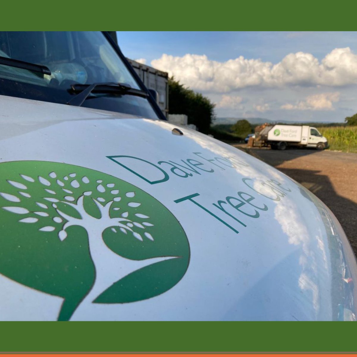 DFordTreeCare's tweet image. 🌳 If a tree needs frequent #CrownReduction, it could become unsafe over time. Our arborists will help you determine when it&apos;s time to remove the tree and recommend replanting with a more suitable species.

Learn more: davefordtreecare.co.uk/tree-services/…

#TreePlanting #TreeRemoval