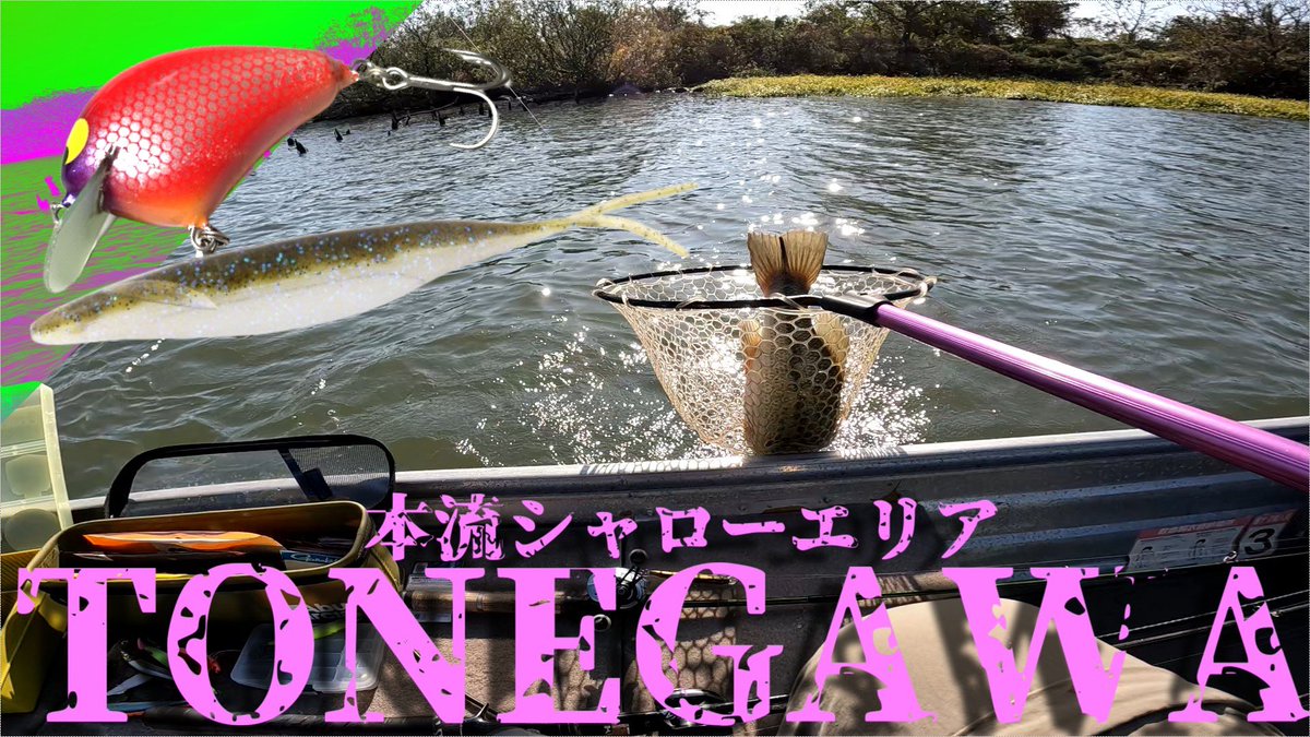 トネチッタ tonecitta (@glitters83) / Posts / X