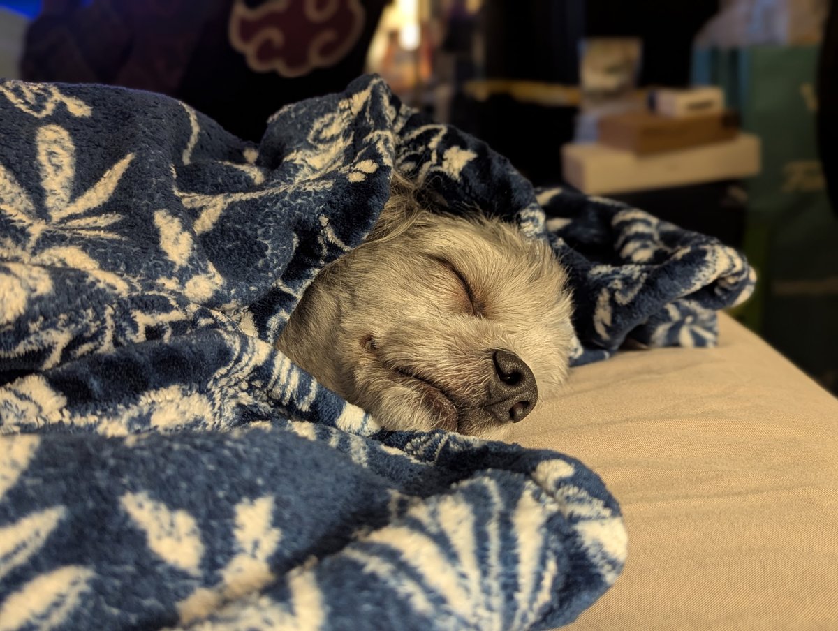 TylerContext's tweet photo. Imagine his dreams https://t.co/L776xxprzo