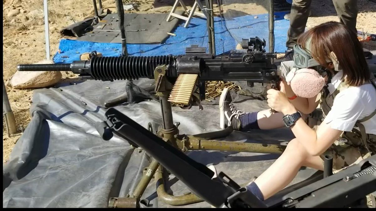 ぽむぽむ様 らんまるぽむぽむタイプα(ぽむ隊長) (@ranmaru_type_a) / Posts / X