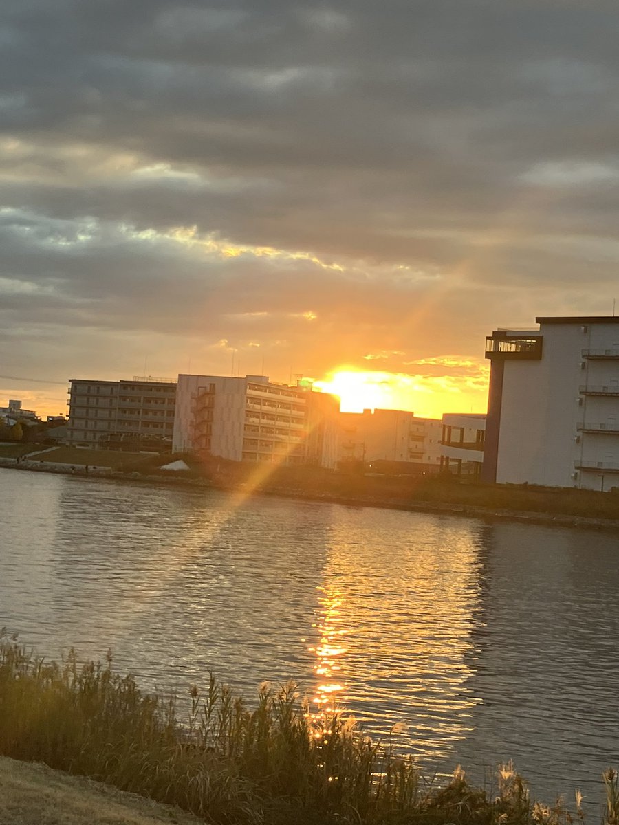 s_himurock's tweet photo. 本日も浦安で猪パトロール。明海地区で出没なら市川に移動の可能あるな。 https://t.co/uCYYSFXgfD