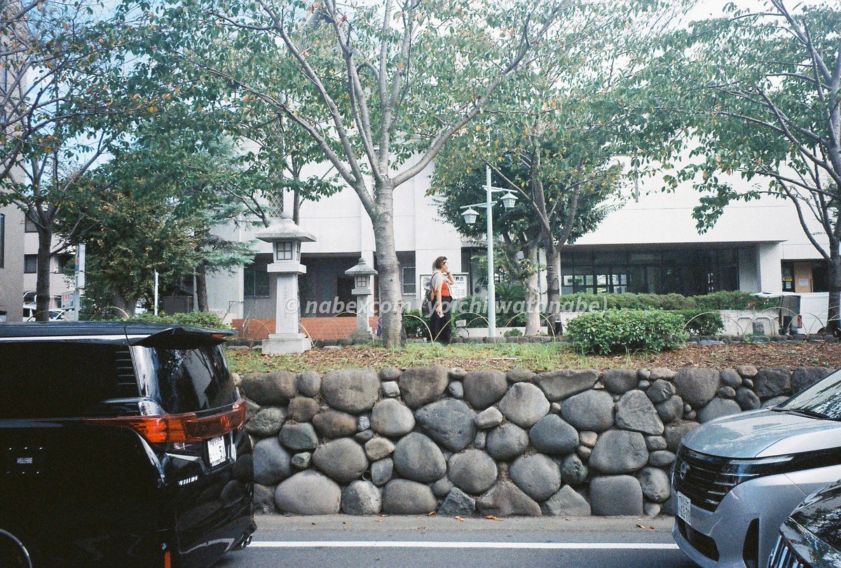 nabexcom's tweet photo. 鎌倉、若宮大路

📸CONTAX 139Quartz
/Planar 1.7/50
🎞️DNP CENTURIA
#チャンプカメラ #嫁写真展 https://t.co/PuYbyrgLts