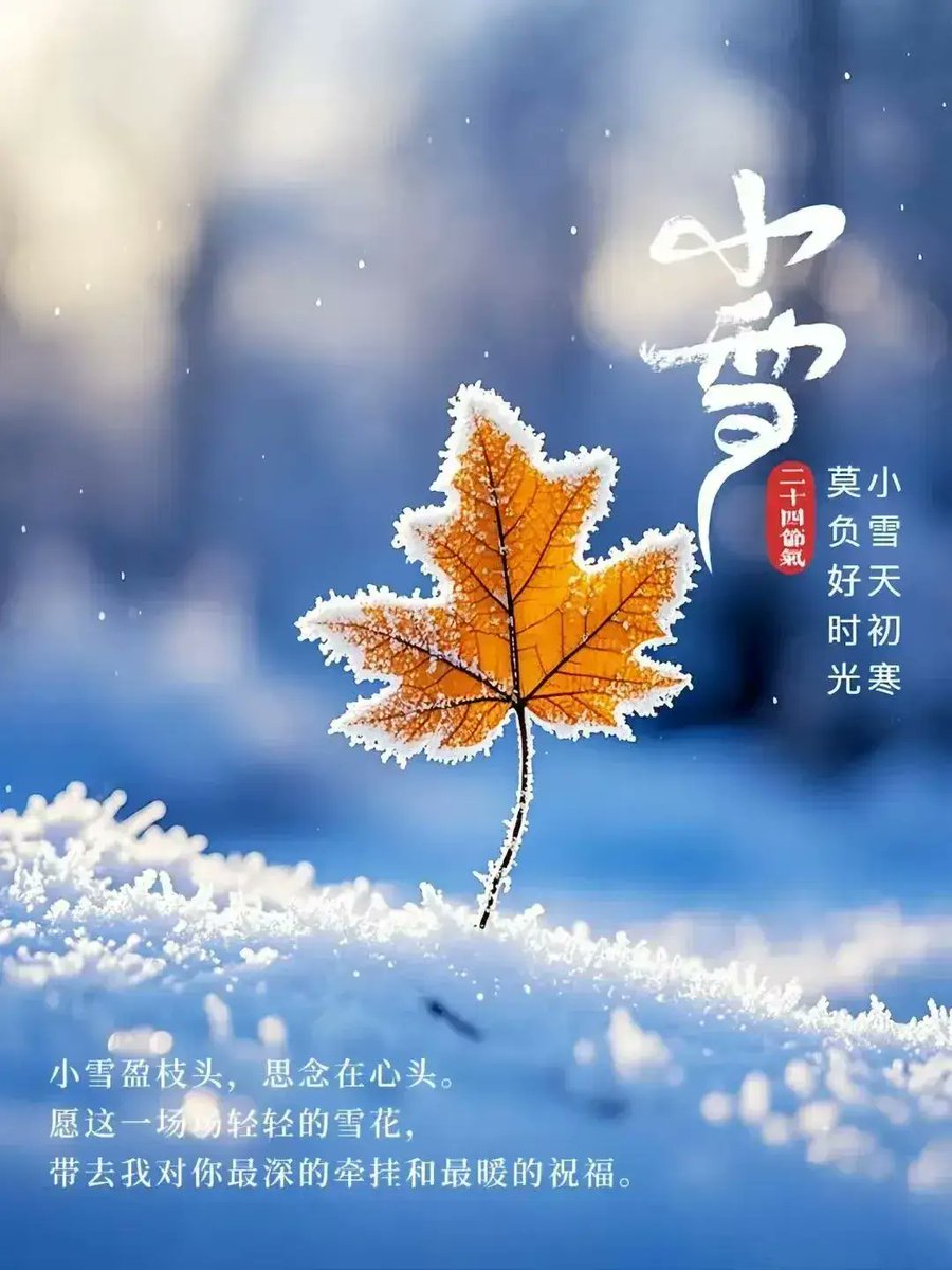 vipprogrammer_'s tweet image. Light Snow falls softly, painting the world in a gentle hush. May your days be wrapped in warmth, and every little wish find its way home.

#phonerepair #carrepair #ChipBoost #ecufixtool #phonefix