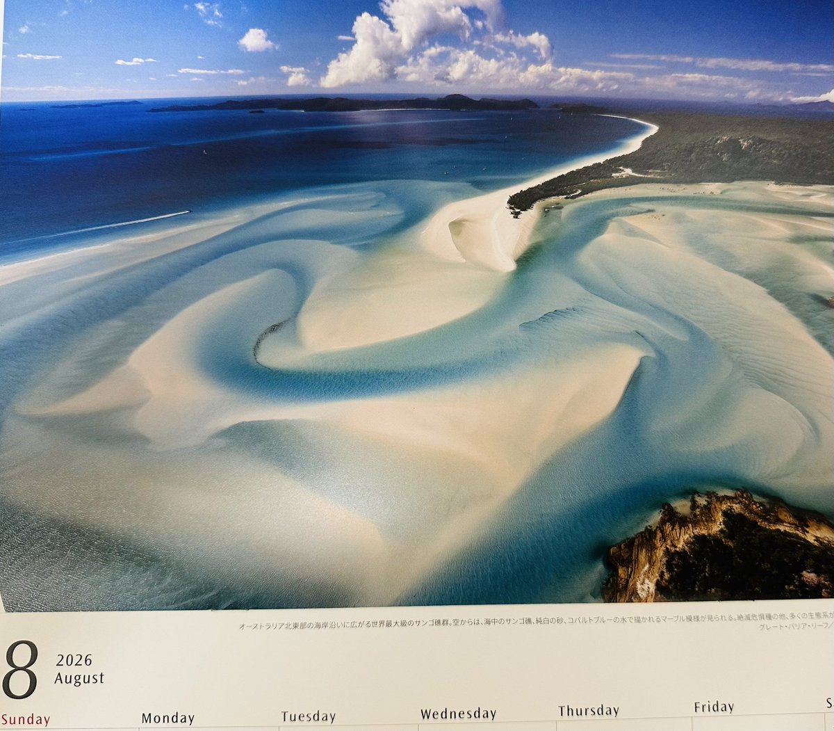 Canonさん株主優待 素敵な2026年カレンダー届きました ありがとうございます🙏 #株主優待 #キャノン #世界遺産 #日本株