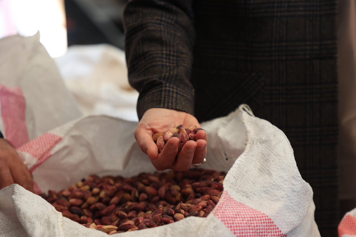 CYAZMAC's tweet image. 