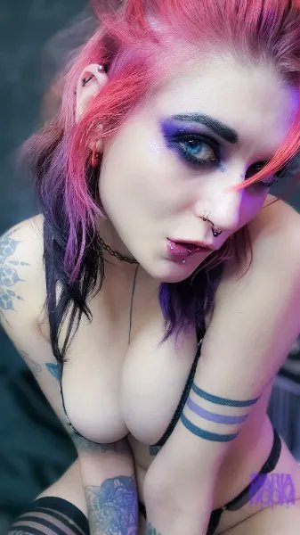 DariaDoomed's tweet photo. spoil your slut 😈🖤 https://t.co/6r4gJozxjI https://t.co/wPPguMo1KW