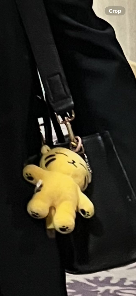 poutytigerr's tweet image. GUYS TOLONGIN TAMTAM KU HILANG😭😭😭😭😭😭😭😭😭😭. Please kalau ada yang ketemuin boleeh info ke aku yaa. Hilangnya saat international conference di Pullman Central Park yaa hari ini. Tolong bgt guys aku lemes😭😭😭 makasih😭😭😭😭