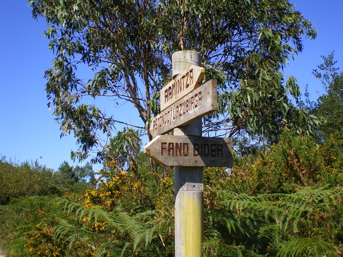 Astebururako planen bila al zabiltza?🌿

🗺️Gorlizen itsaso ondoko ibilbide errazak, itsaslabar ikusgarriak eta Kantauri itsasoaren ikuspegi zoragarriak eskaintzen dizkizun faroraino paseoaz goza dezakezu.🌊

Hurbil zaitez turismo-bulegora!📌