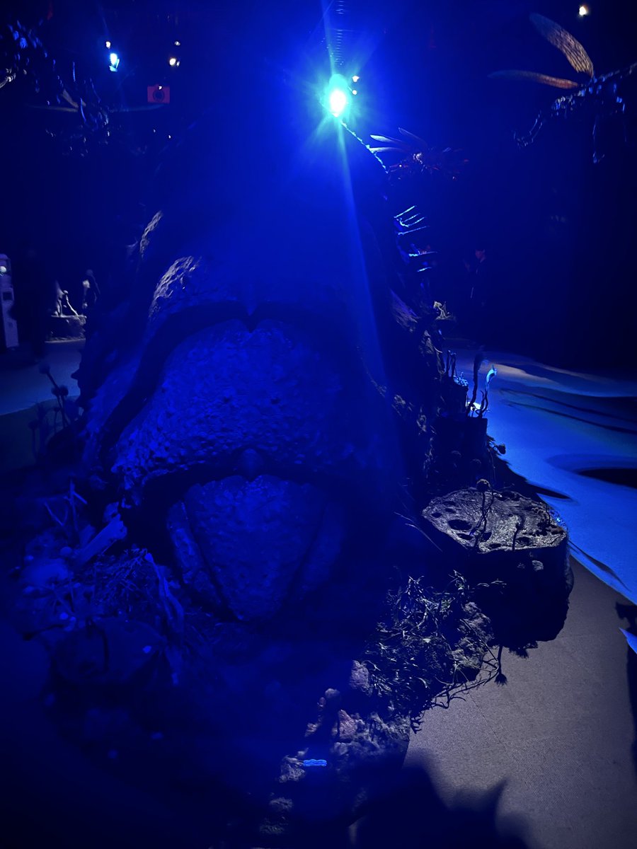 purplebeat2525's tweet photo. 地元でジブリ展やっていたので見てきた
なかなか見応えありました
王蟲の後ろ姿載せておきます https://t.co/a3MOY28dIG