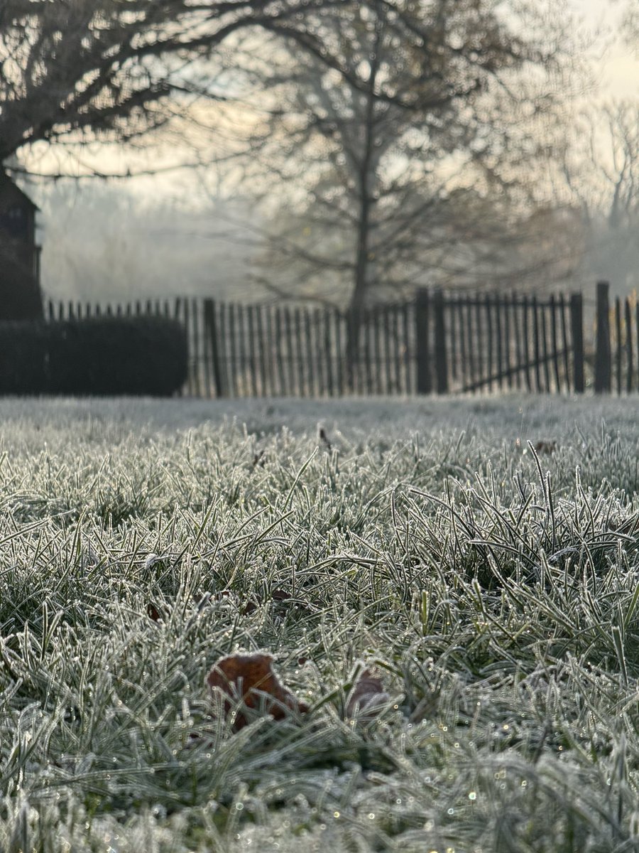 IBonnx's tweet image. Ga trainen bij zonsopgang. Frisse lucht, vorst op het gras, elke ademhaling voelt als een reset. Bewegen + stress eraf in één. 

Probeer het eens. Werkt echt.