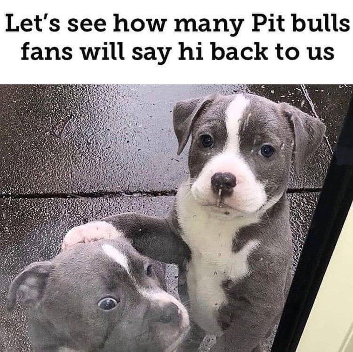 The Four Hearts tweet media