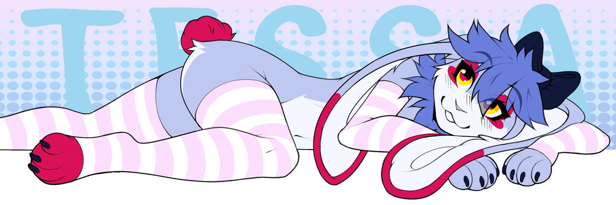 🎀BabyCollie🎀 tweet media