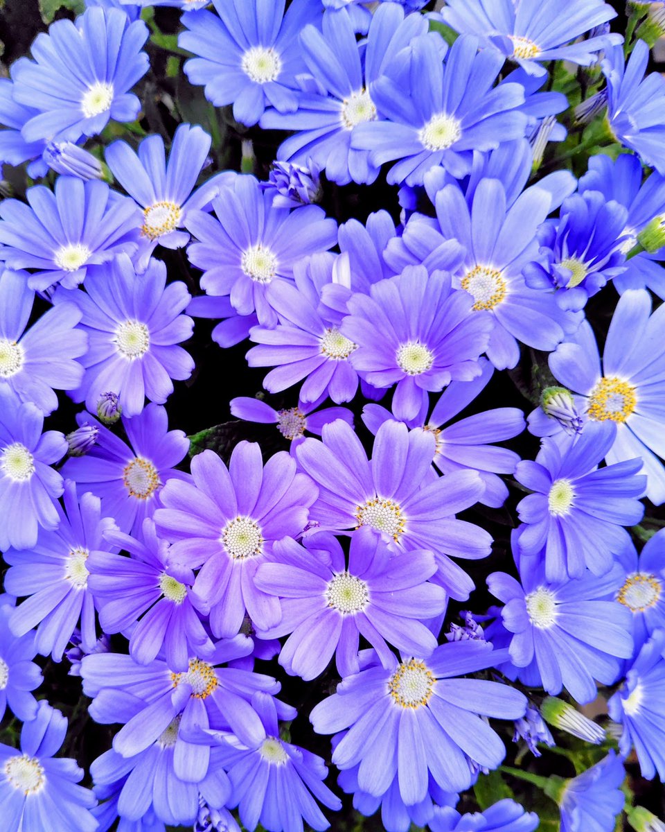 お疲れ様🩵マウント取れる服って~wヤンキーの特攻服的な?葬式なのに露出過多のジョンガリアーノ着た三浦瑠麗的な?確かに新しい服!デザイン素敵な服!流行りの服!って気分🆙自分に自信持てたりするけど…マウント…変な表現wライターいないの?つ~か､メンドイからもう頭下げて謝っちゃえば?簡単じゃﾈ🌈