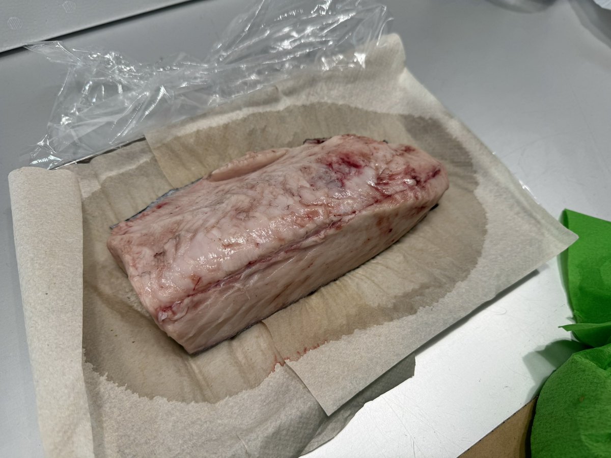 kakagaku112's tweet image. 伝説のバラムツも遂に食える！
あちいー！！！！！