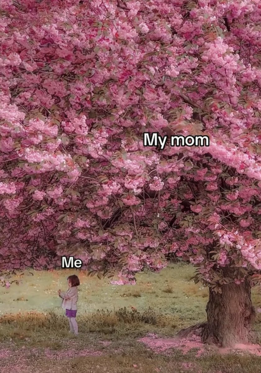 WA (@wa364w) on Twitter photo 