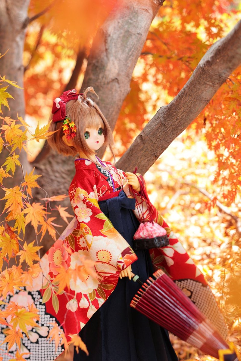 sakcol's tweet image. 落葉のキラキラ