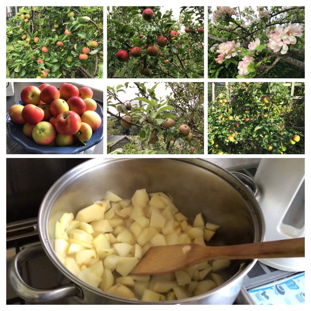 #sixonsaturday.      Bounty ....
#homegrown  #gardenx