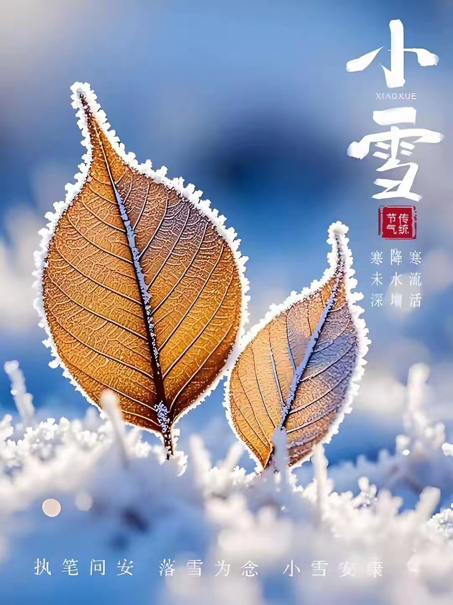 weizai84934144's tweet image. 人间小雪，执笔问安，不问雪落几时，只问花开几许。