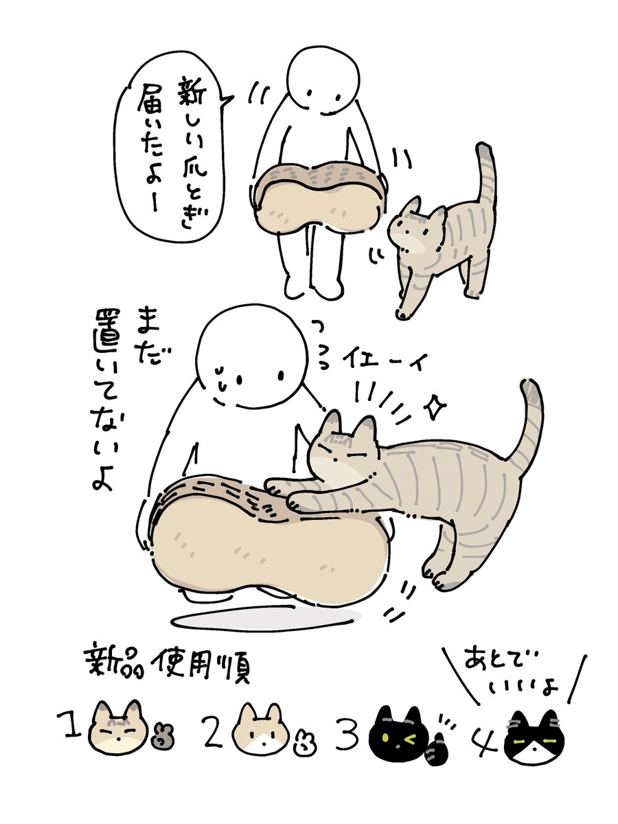 新品爪とぎの使用順
ねこおのおのの性格が出る 
