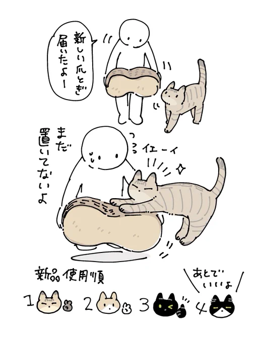 新品爪とぎの使用順
ねこおのおのの性格が出る 