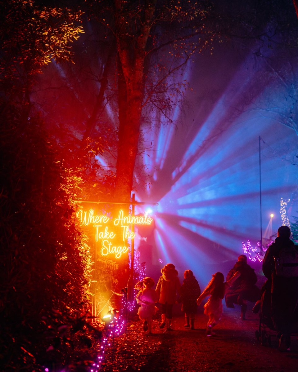 Your weekend plans just got a whole lot sparklier ✨💖

#WindsorIlluminated