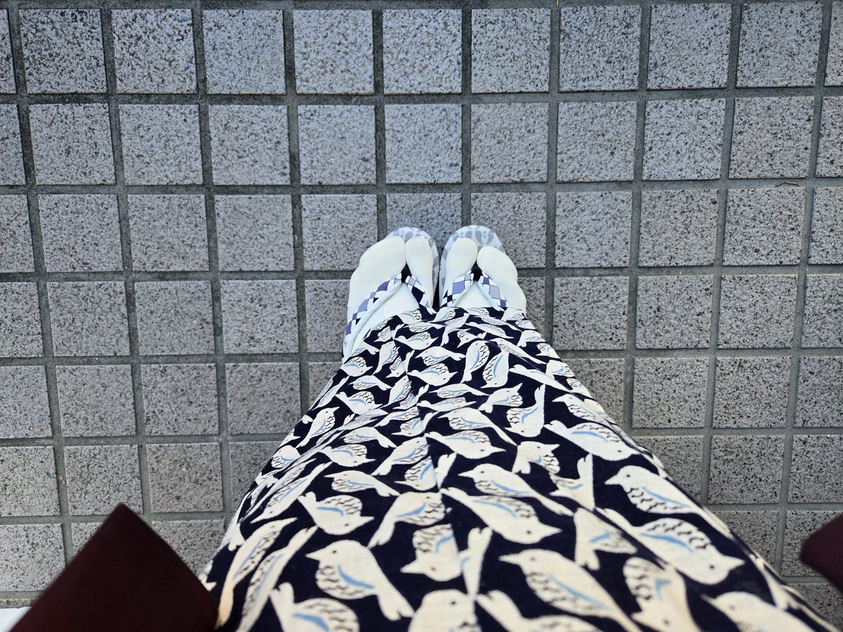 第3回！ミミズクヤ東京店in中目黒！！
お手伝い2日目は鳥☺️
新しい私が爆誕しています(いろいろ買っただけ😂)
とりとり着物にモフ帯、モフ襟、半襟も鳥、髪飾りも鳥、バッグも鳥！水玉レース靴下は下に白を重ねて。場数を踏みに来ましたが、鳥草履あったな…😇

#まさよの着物2025 83
#まさよの着物