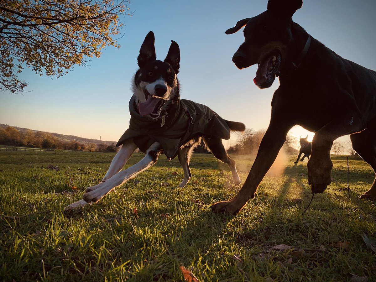 Mat Dixon tweet media