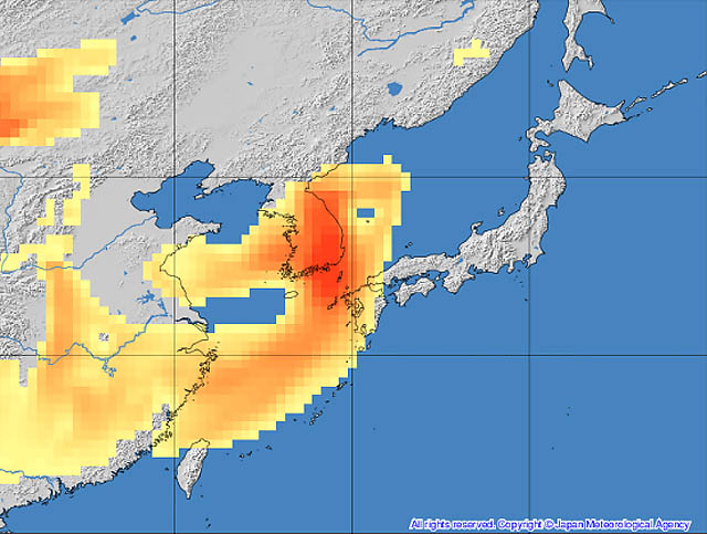 トコシエコウの花畑　ポット発送❤️セール❤️848【Ashwood】 新たにお迎えしたウィッチフォードの鉢♬ | Kazumi's Diary
