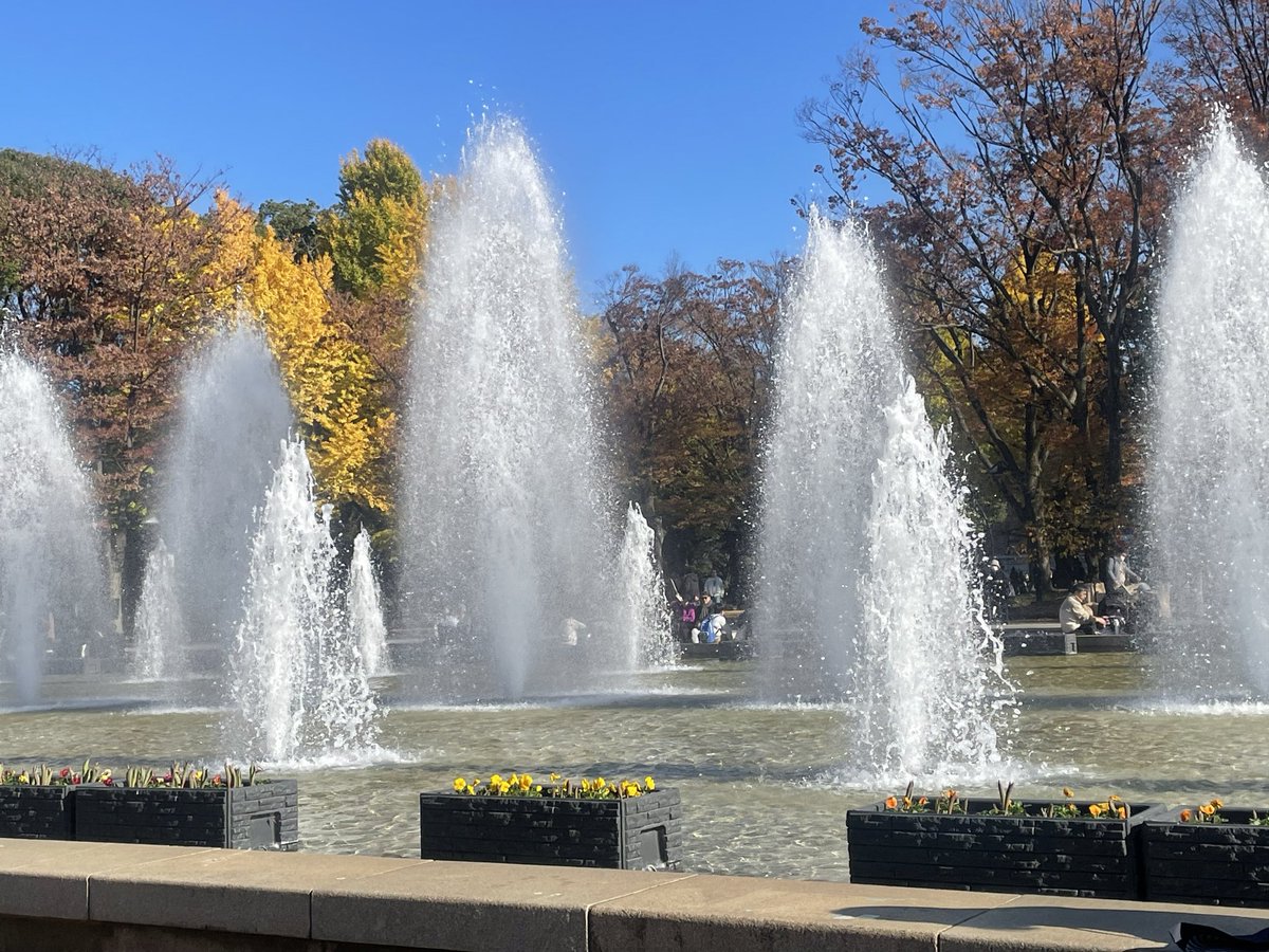 v1v1enne_0u0's tweet image. 本日のハイライト🐧🎻☕️📍上野