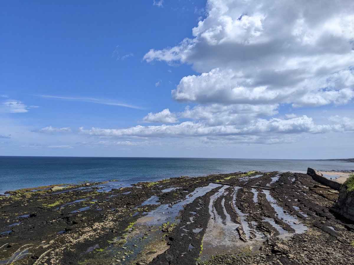 mchlsllvn97's tweet image. …morning, on the bay..