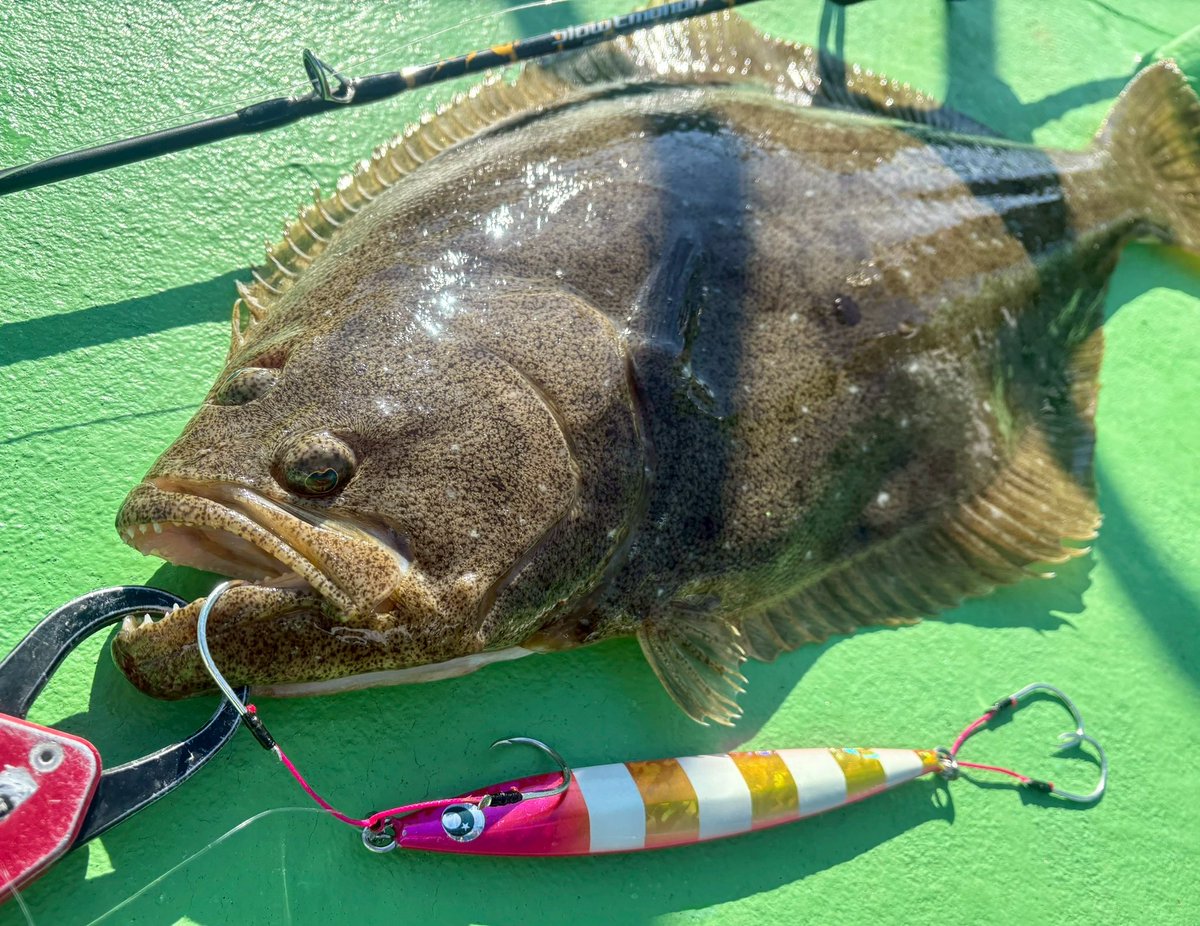 佐藤 宏樹 (@fishermanhiroki) / Posts / X