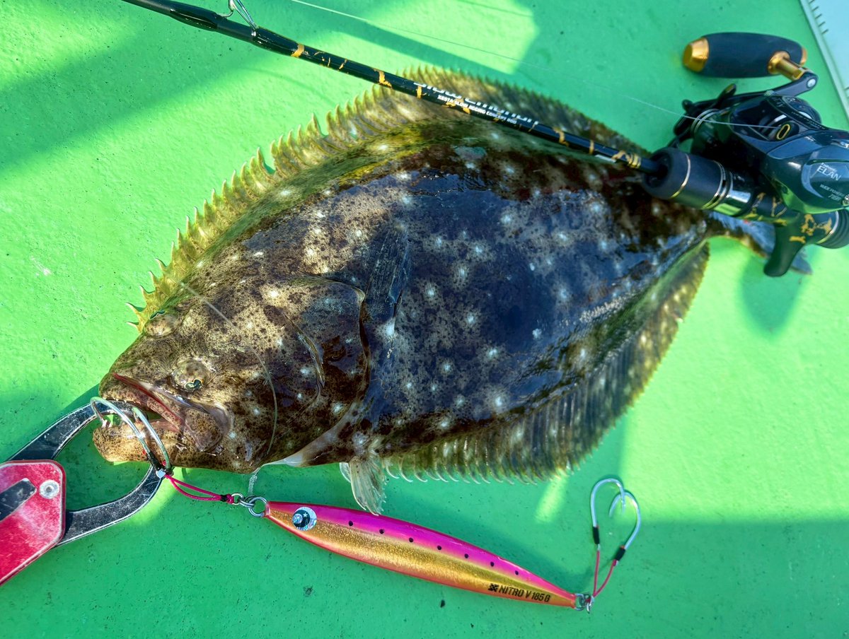 佐藤 宏樹 (@fishermanhiroki) / Posts / X