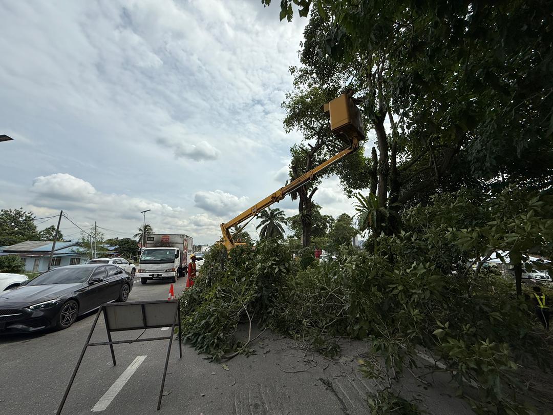 𝐊𝐞𝐫𝐣𝐚-𝐊𝐞𝐫𝐣𝐚 𝐏𝐞𝐦𝐚𝐧𝐠𝐤𝐚𝐬𝐚𝐧 𝐏𝐨𝐤𝐨𝐤 𝐝𝐢 𝐉𝐚𝐥𝐚𝐧 𝐁𝐮𝐤𝐢𝐭 𝐊𝐞𝐦𝐮𝐧𝐢𝐧𝐠 (𝐅𝐓𝟏𝟗𝟎) 𝐁𝐚𝐠𝐢 𝐊𝐞𝐬𝐢𝐚𝐩𝐬𝐢𝐚𝐠𝐚𝐚𝐧 𝐌𝐨𝐧𝐬𝐮𝐧 𝐓𝐢𝐦𝐮𝐫 𝐋𝐚𝐮𝐭.

📌facebook.com/share/p/1D7QvC…