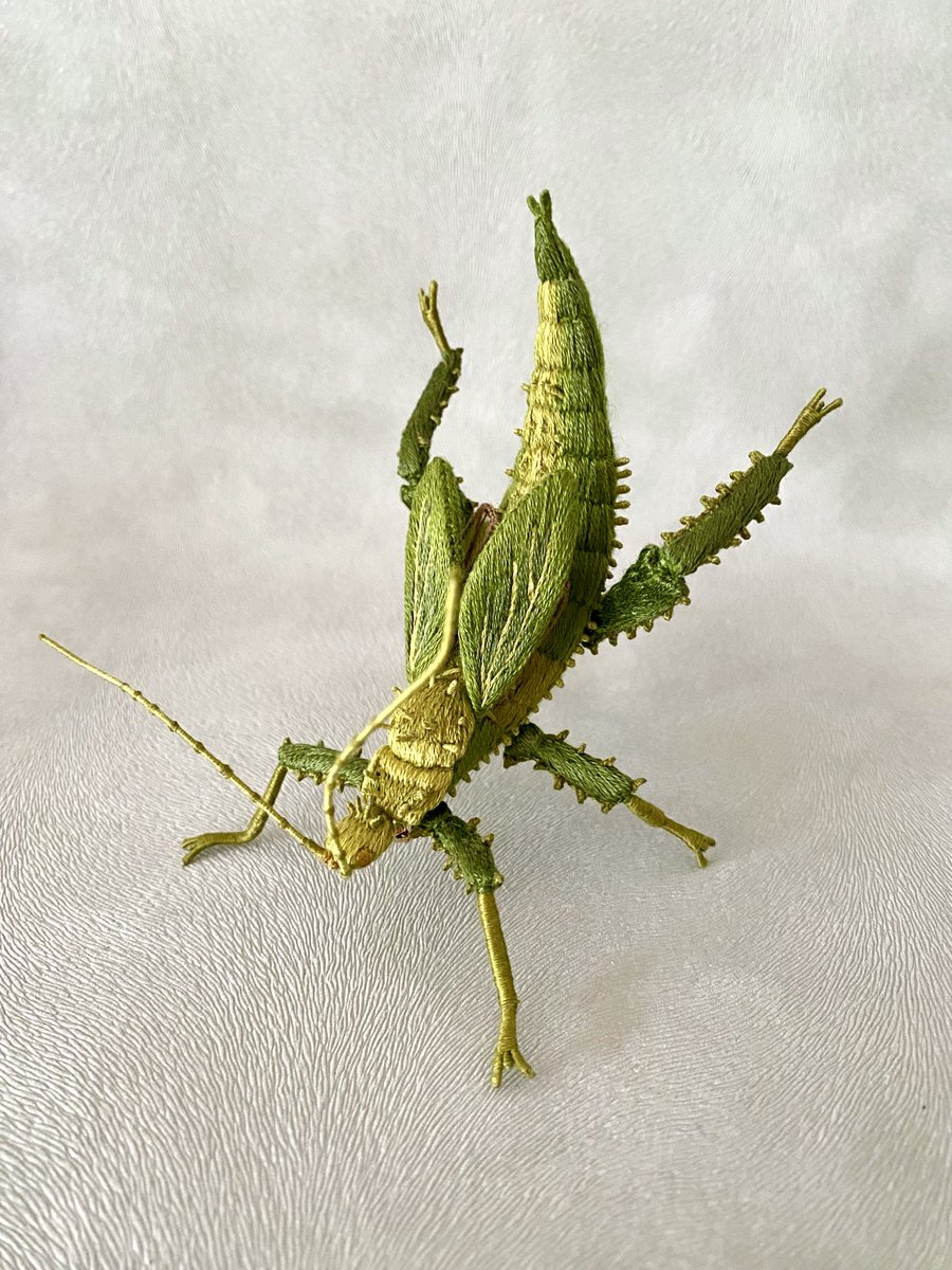 #作品の戦闘力は530000です

立体刺繍のサカダチコノハナナフシの戦闘力