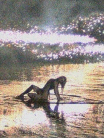 adp pics tweet media