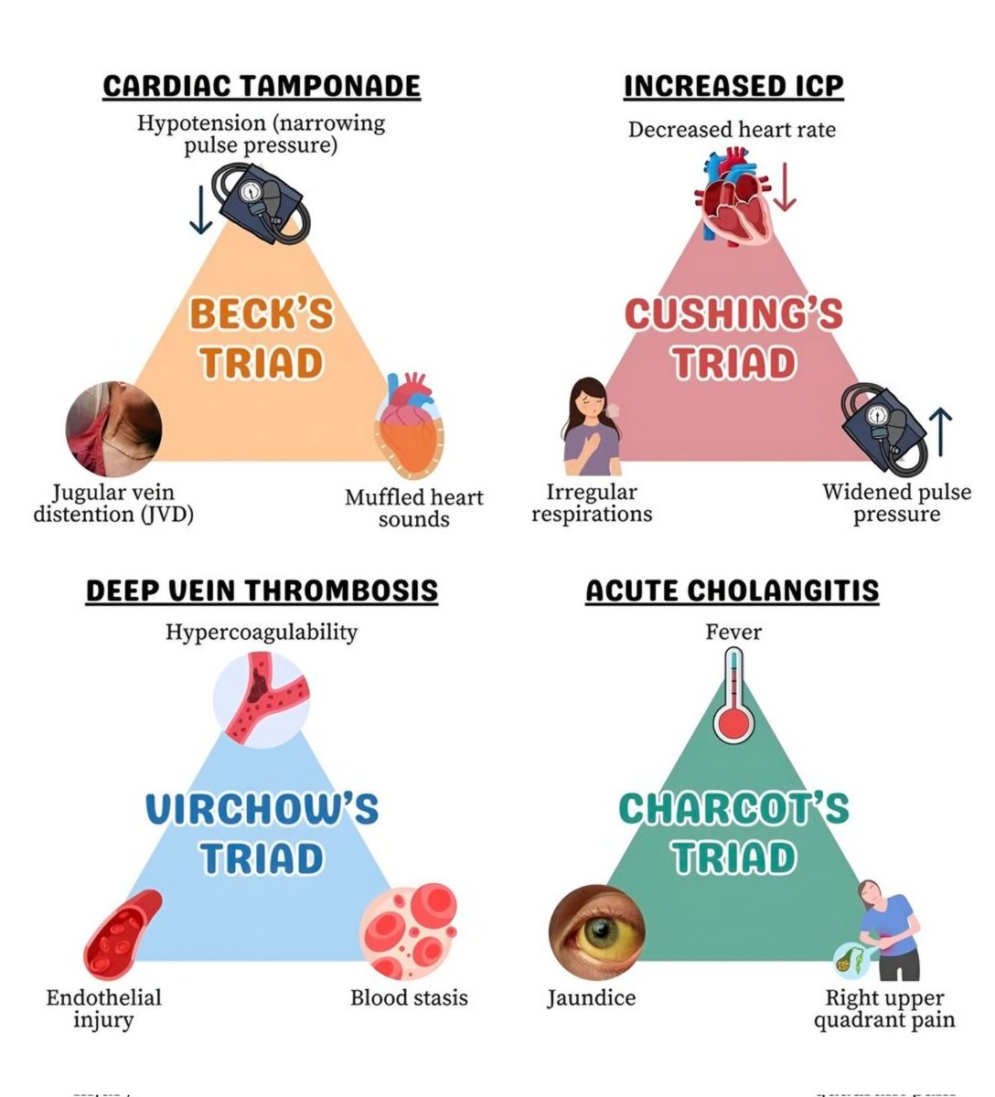 nervemed (@nervemed) on Twitter photo 